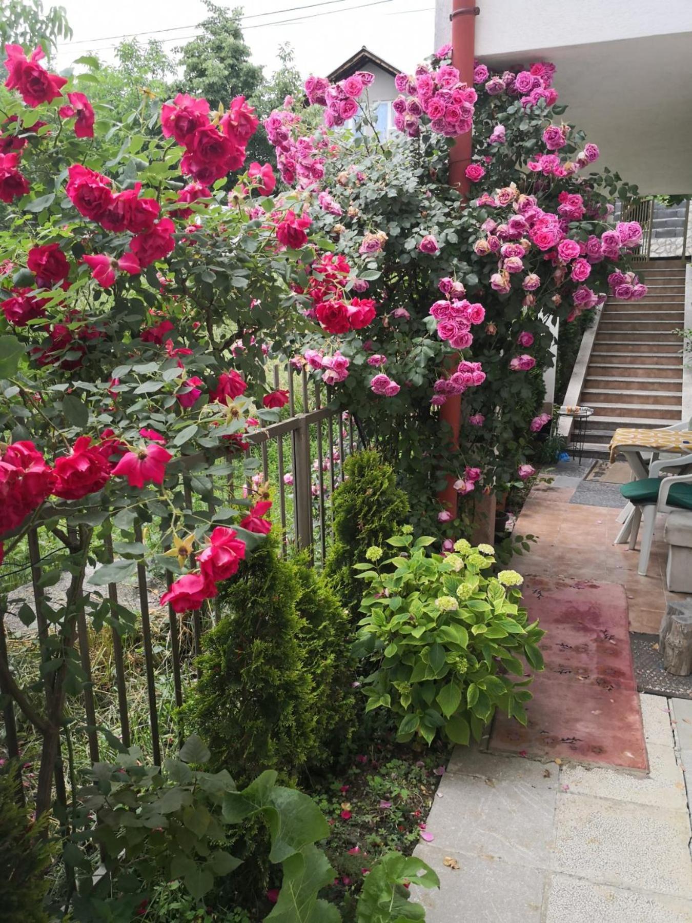 Rest & Recharge 4Bdr Apt- Free Parking, Ac & Garden 사라예보 외부 사진